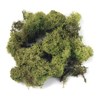 craft - muschio verde chiaro - labottegadelleideelecco.it