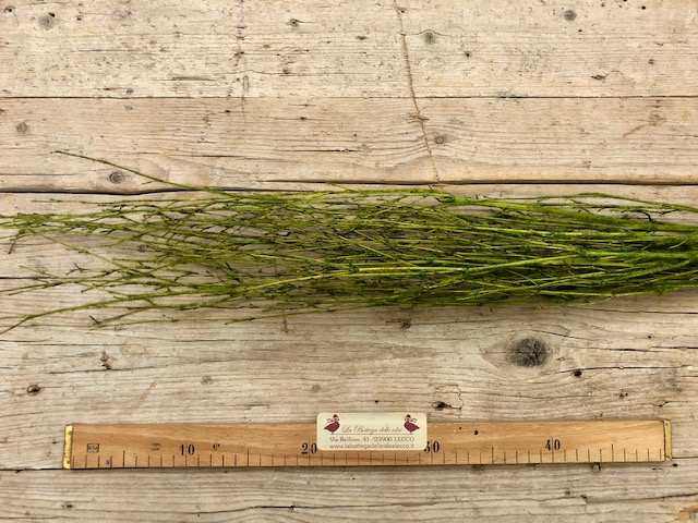 craft - FASCINA - labottegadelleideelecco.it