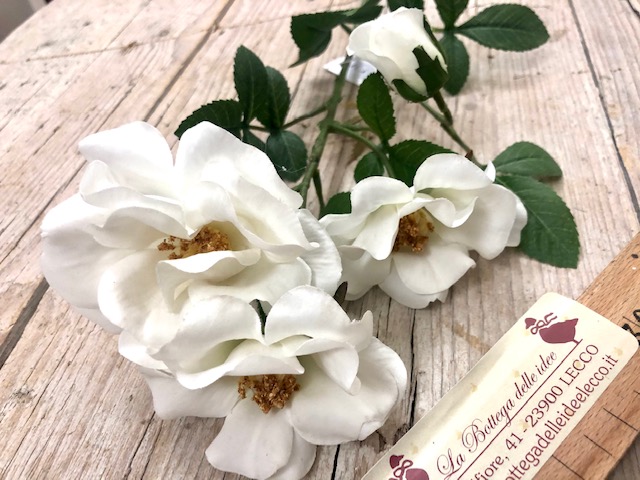 craft - ROSA CANINA BIANCA - labottegadelleideelecco.it