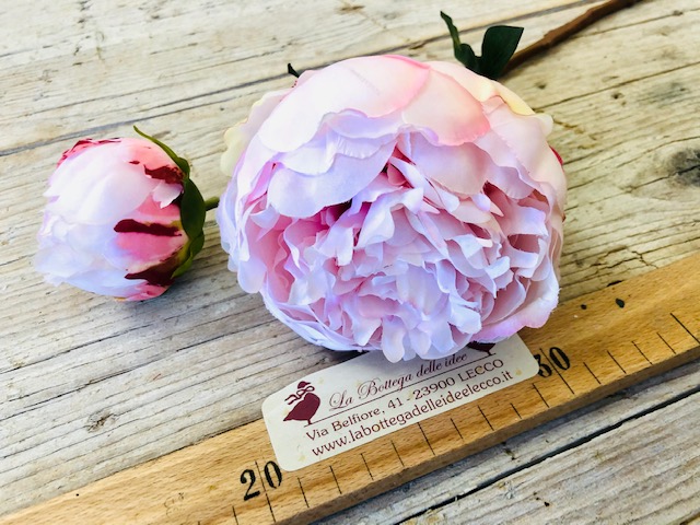 craft - PEONIA GRANDE ROSA - labottegadelleideelecco.it