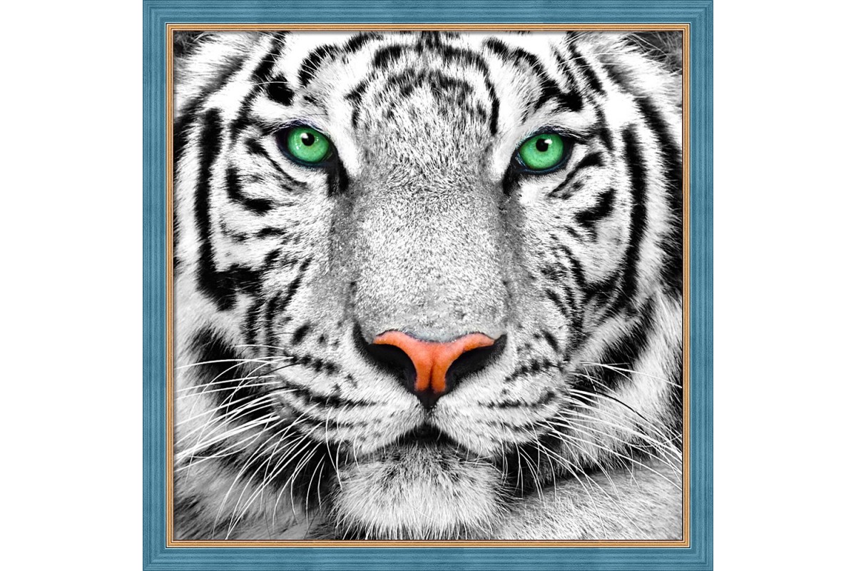 diamond painting - TIGRE - labottegadelleideelecco.it