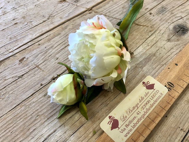 craft - PEONIA BIANCA - labottegadelleideelecco.it