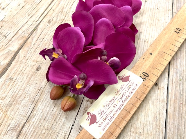 craft - ORCHIDEA VIOLA - labottegadelleideelecco.it