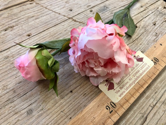 craft - PEONIA ROSA - labottegadelleideelecco.it