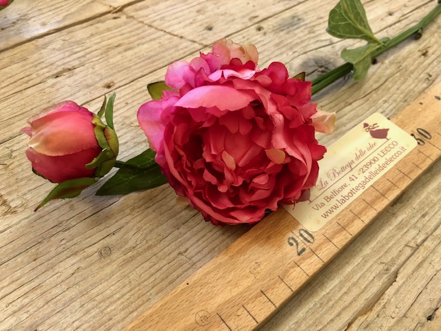 craft - PEONIA FUCSIA - labottegadelleideelecco.it