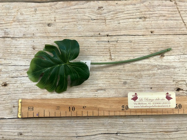 craft - FOGLIA TROPICALE - labottegadelleideelecco.it