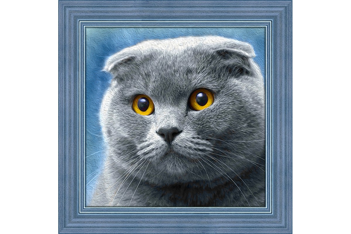 diamond painting - GATTO SCOTTISH - labottegadelleideelecco.it