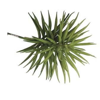craft - succulent senecio - labottegadelleideelecco.it