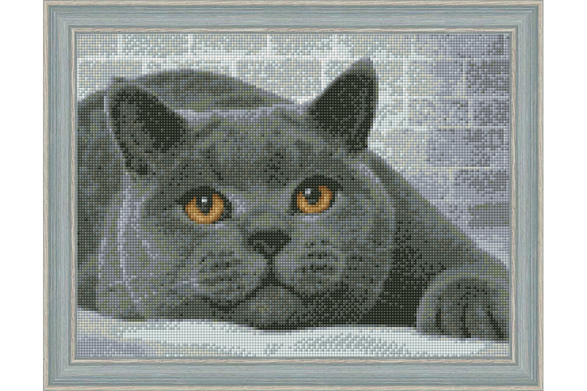 diamond painting - GATTO - labottegadelleideelecco.it