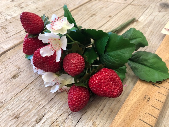 craft - FRAGOLE - labottegadelleideelecco.it