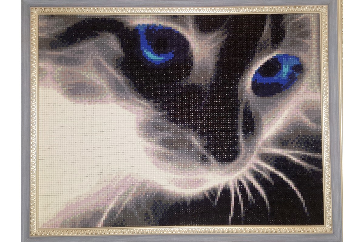 diamond painting - OCCHI DI GATTO - labottegadelleideelecco.it