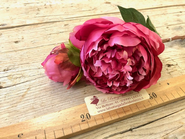 craft - PEONIA GRANDE FUCSIA - labottegadelleideelecco.it
